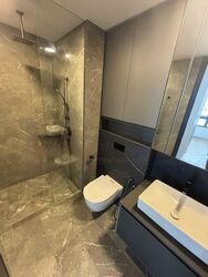Irwell Hill Residences (D9), Apartment #552731251
